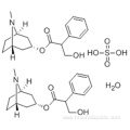 Atropine sulfate monohydrate CAS 5908-99-6